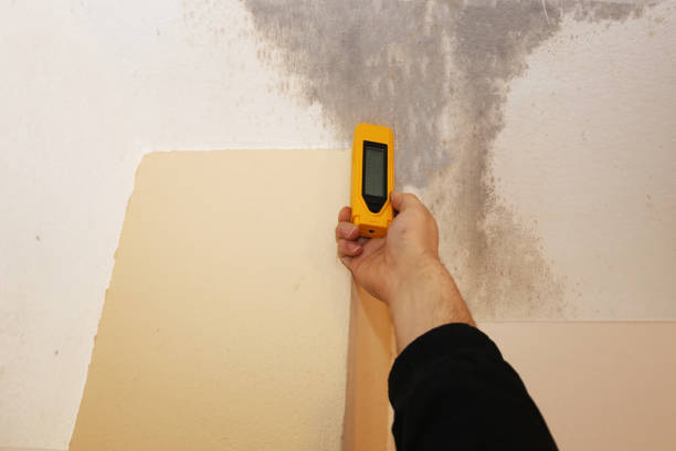 Best Emergency Mold Remediation  in Macon, GA