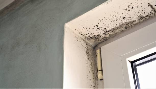 Best Indoor Air Quality Assessment  in Macon, GA