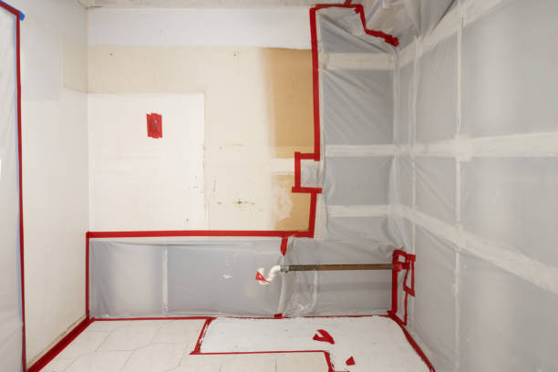 Best Mold Odor Removal Services  in Macon, GA