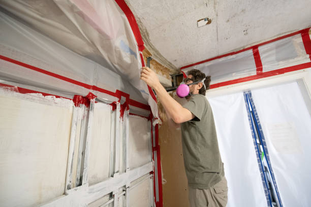 Best Mold Removal for HVAC Installations  in Macon, GA
