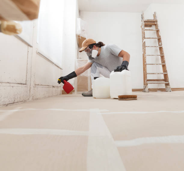 Mold Documentation for Insurance Claims in Macon, GA